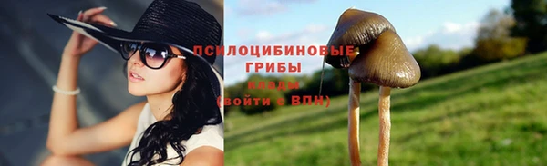 ALPHA-PVP Алексин