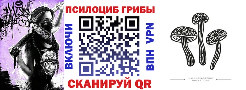 хочу наркоту mega маркетплейс Галлюциногенные грибы мицелий Изобильный